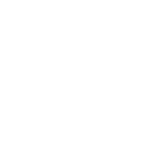 Sarasota Wash and Fold - Logo