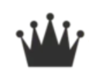 AAA King Self Storage - Logo