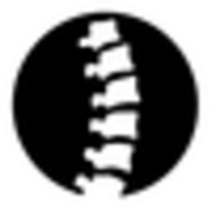 MENDYK CHIROPRACTIC - Logo