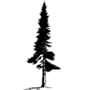 Lone Pine Auto Glass - Logo