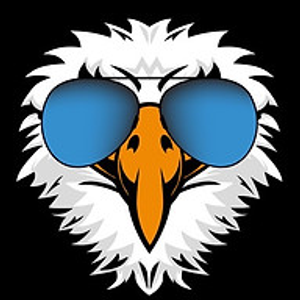 Eagle Window Tint