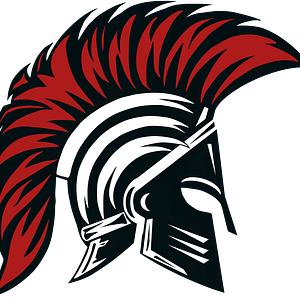 Rogue Jiu Jitsu Academy - Logo
