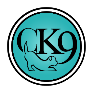 The Curious K9 - Logo